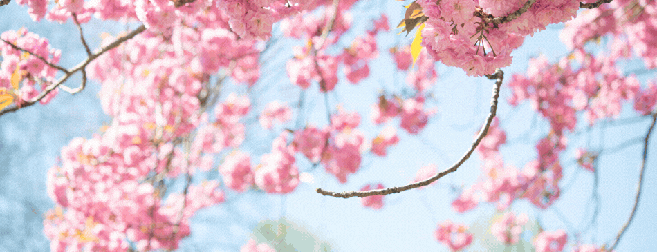 春休み短期水泳教室