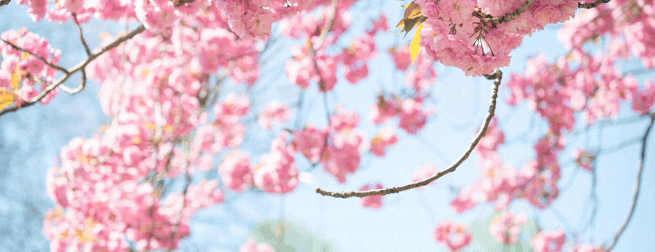 春休み短期水泳教室