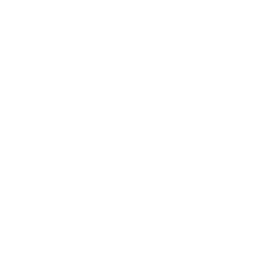 PDF